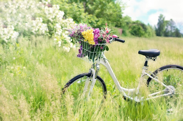 自転車と花